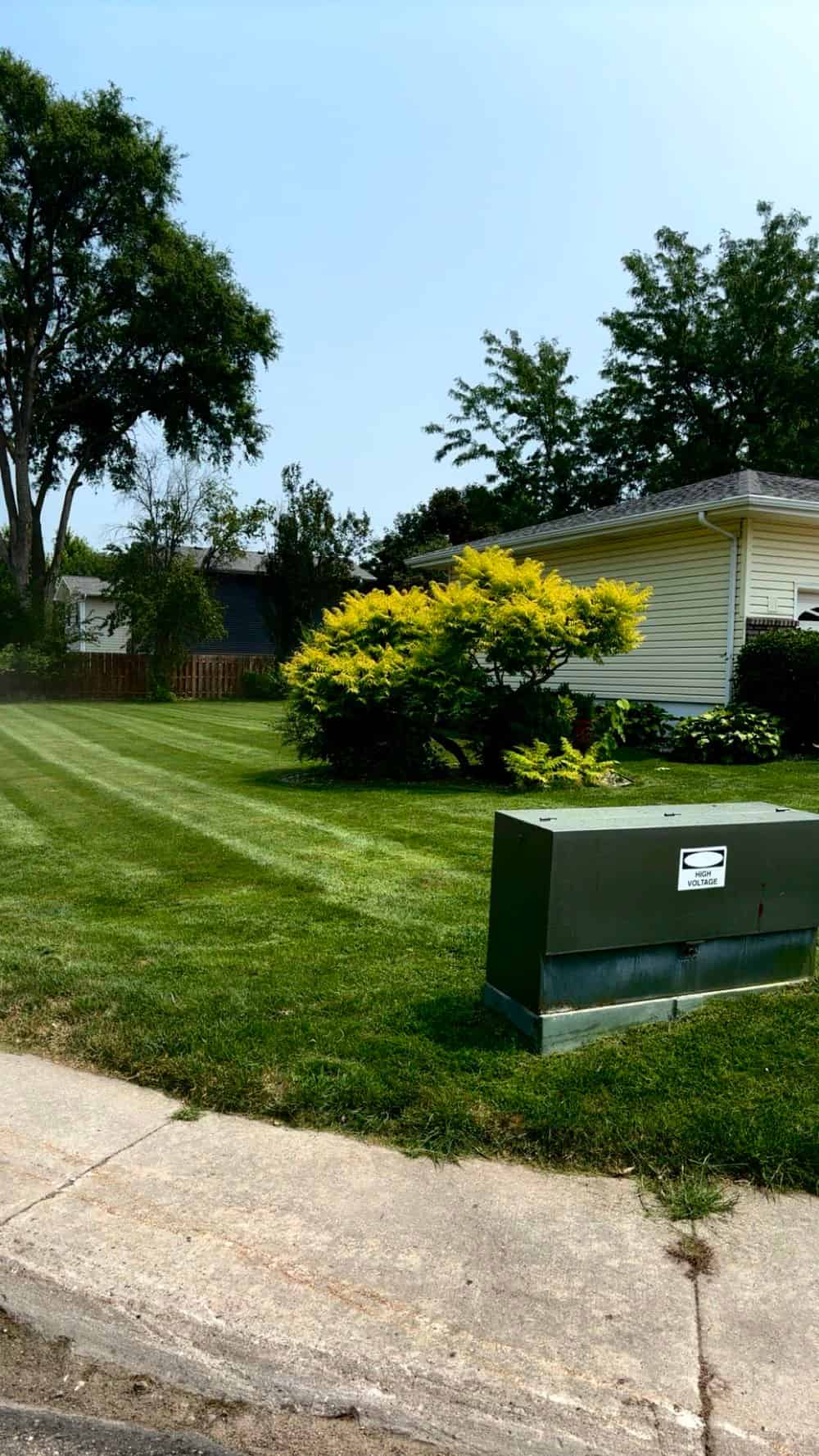 Shrub & Hedge Trimming image