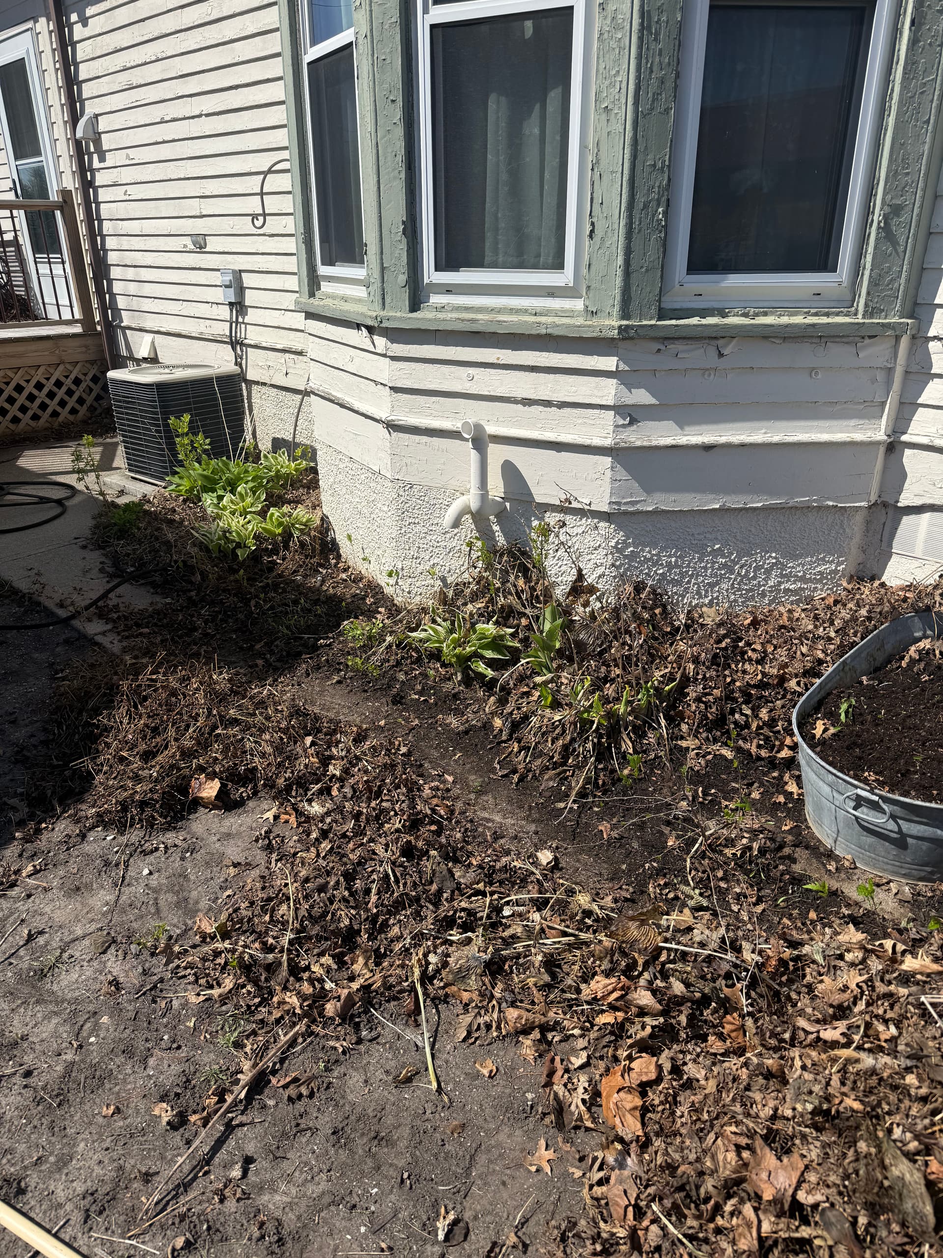 Gallery photos for Front Yard Cleanup and Fresh Start in Battle Creek NE: Image #2