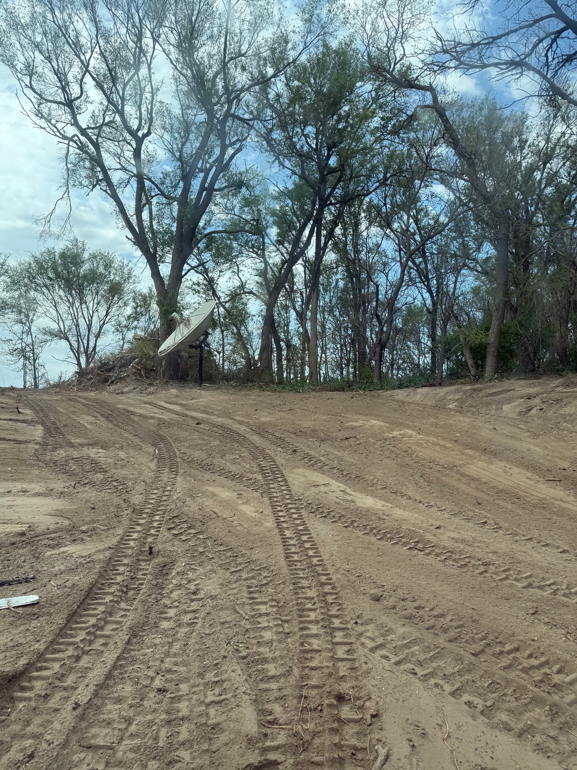Gallery photos for Overgrown and Unusable Land Cleared and Graded Clean: Image #1