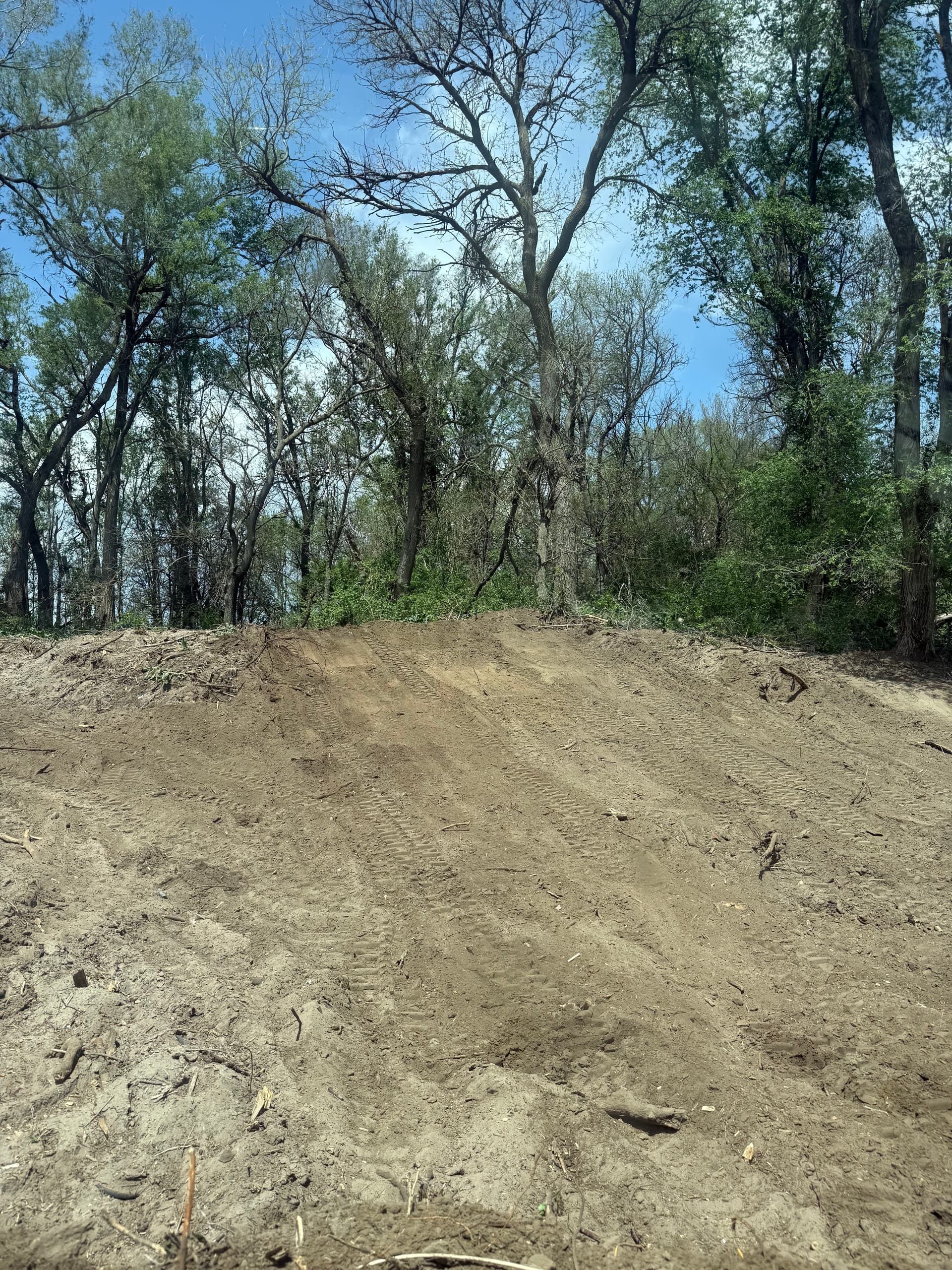 Gallery photos for Overgrown and Unusable Land Cleared and Graded Clean: Image #2