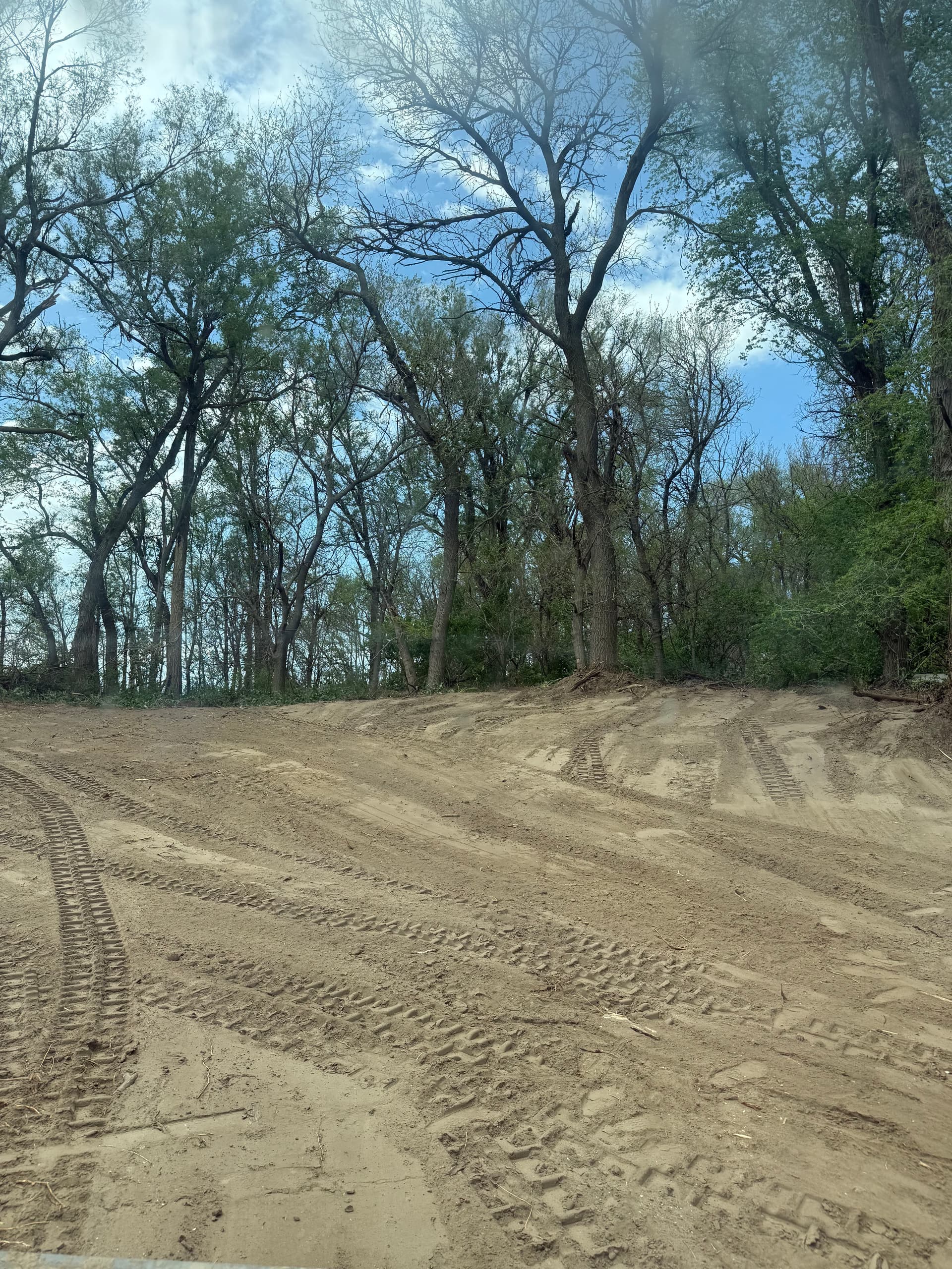 Gallery photos for Overgrown and Unusable Land Cleared and Graded Clean: Image #3