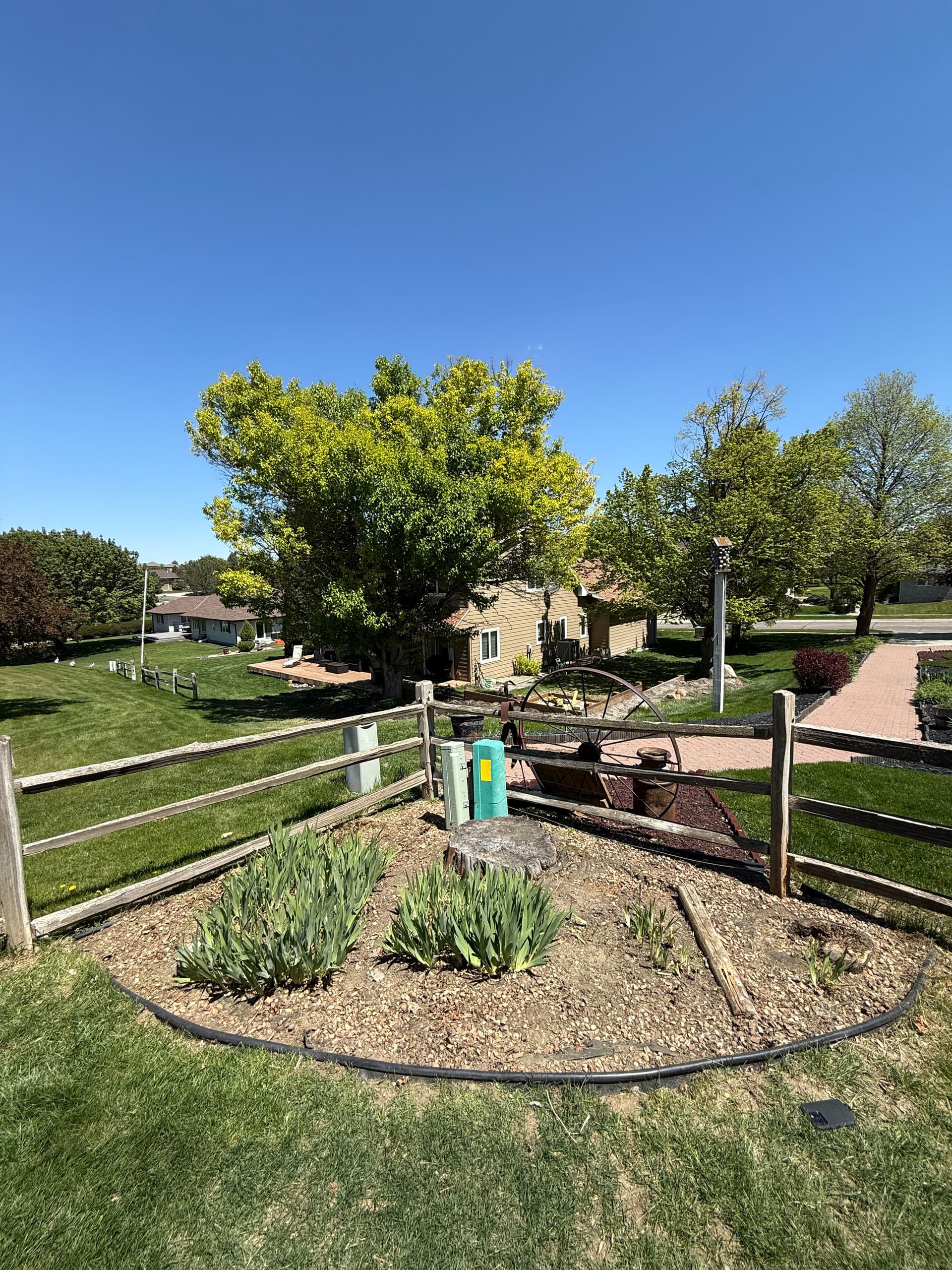 Fresh Rock and Mulch Cleanup That Makes a Real Difference image