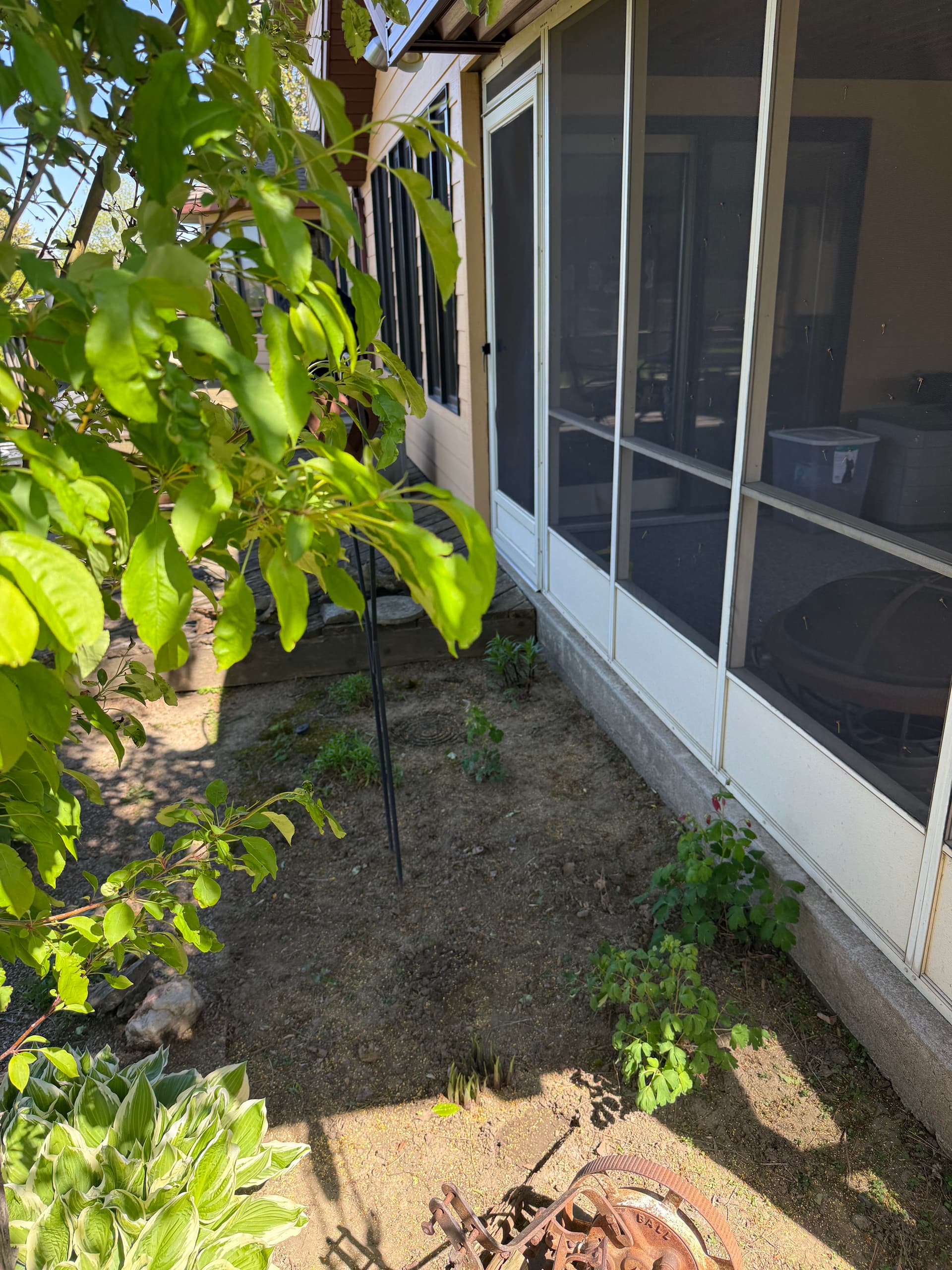 Gallery photos for Fresh Rock and Mulch Cleanup That Makes a Real Difference: Image #2