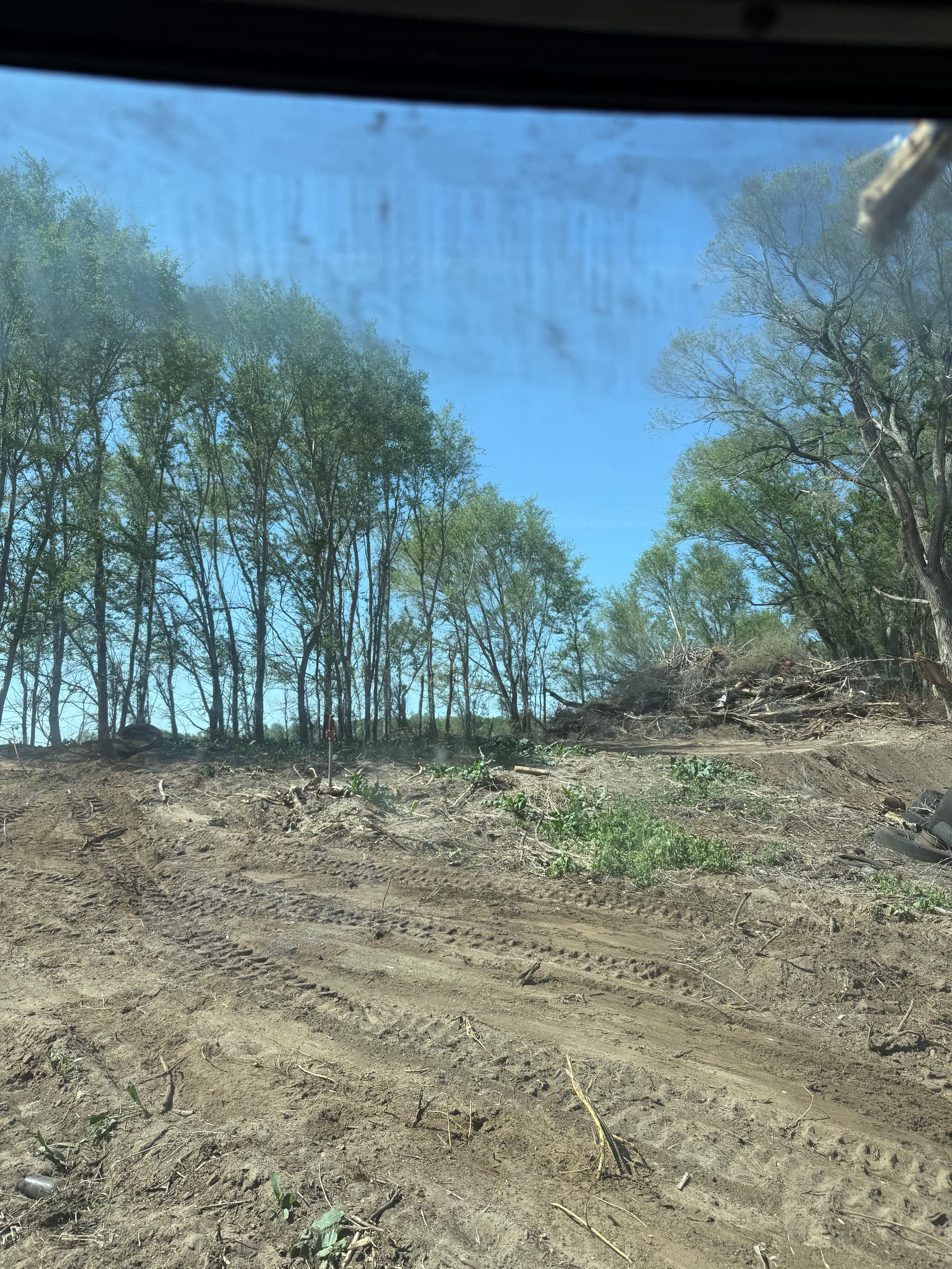 Gallery photos for Now Booking Landscape Installs Dirt Work Tree Removal and More: Image #5